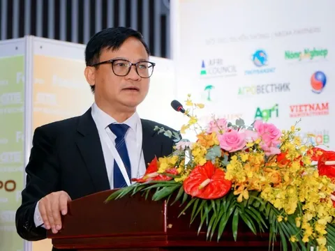 Văn hóa khởi nghiệp - Mạch sống mới cho khát vọng Việt Nam hùng cường