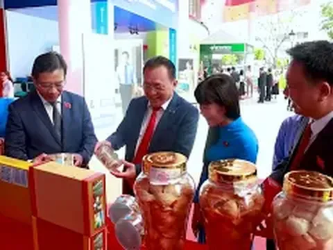 Dự thi Yến Sào Khánh Hòa phóng sự Chống Săn bắt chim yến 2026