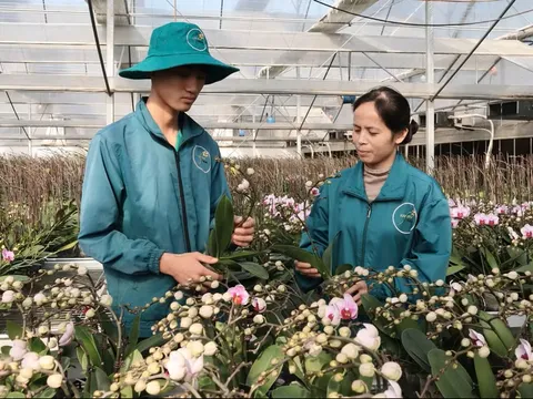 Động lực trung tâm thúc đẩy tăng trưởng
