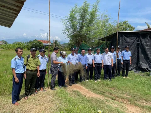 TĂNG CƯỜNG KIỂM TRA, KIÊN QUYẾT XỬ LÝ BẪY BẮT CHIM YẾN TẠI NINH HOÀ